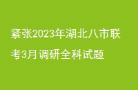 20233µȫ